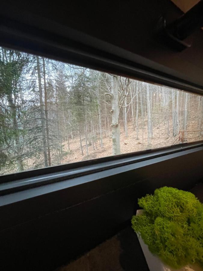 Domek Na Drzewie Ceprowo Szczyrk Exterior foto